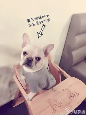 孙富贵到底是贾玲的还是张小斐的呢？请看介绍~！