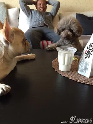 孙富贵到底是贾玲的还是张小斐的呢？请看介绍~！_2