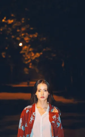 柴碧云红色绣花外套夜间街头写真图片_3