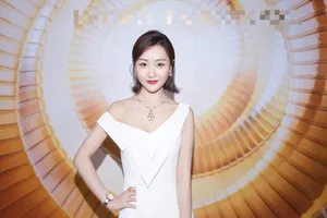 杨蓉品牌发布会性感图片_4