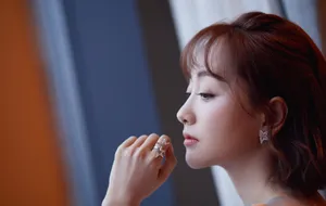 杨蓉透视刺绣纱裙小露酥胸性感写真图片