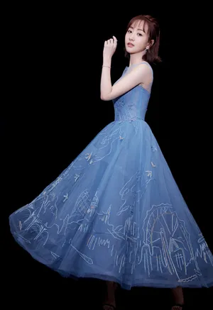 杨蓉透视刺绣纱裙小露酥胸性感写真图片_1