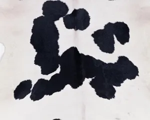 动物皮毛纹理 第一辑_7