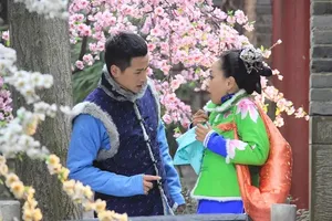 杨蓉《欢喜婆婆俏冤家》海报剧照图片