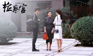 电视剧《检察官》殷桃剧照高清图片_4