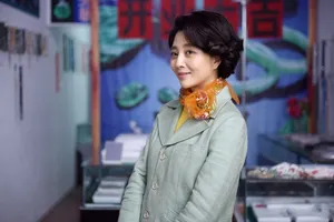 电视剧《鸡毛飞上天》殷桃剧照高清图片_2