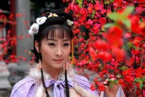 电视剧《黛玉传》陶昕然剧照高清图片_5