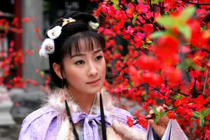 电视剧《黛玉传》陶昕然剧照高清图片_8