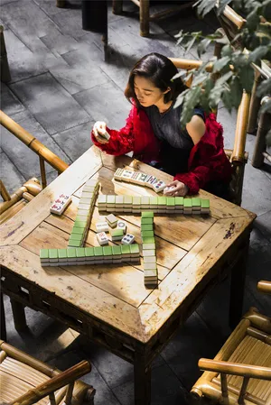 宋轶文艺写真图片_5