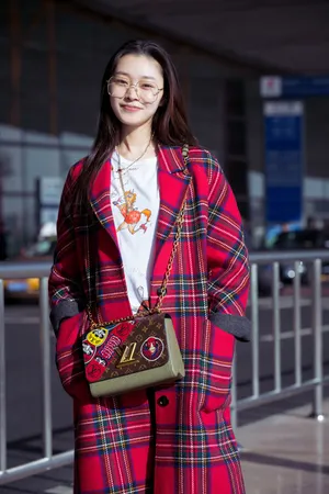 宋轶最新素颜机场照高清图片_2