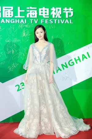 宋轶薄纱深V透视裙性感写真图片_7