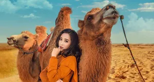 杜若溪沙漠性感魅力艺术写真大片