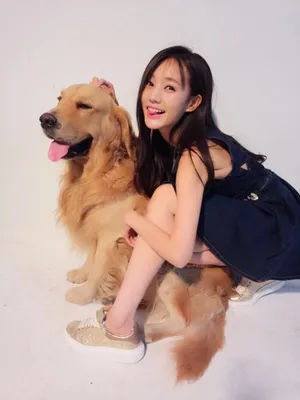 李一桐与可爱汪星人日常高清图片