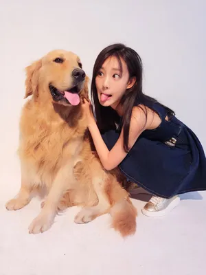 李一桐与可爱汪星人日常高清图片_3