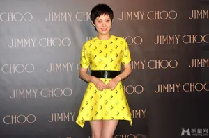 李冰冰杜鹃等同台斗艳孙俪不抱希望获艾美奖_2