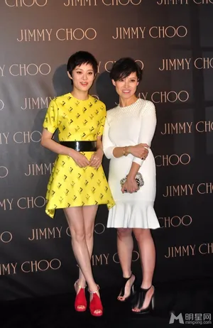 李冰冰杜鹃等同台斗艳孙俪不抱希望获艾美奖_5