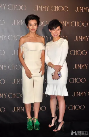 李冰冰杜鹃等同台斗艳孙俪不抱希望获艾美奖_14