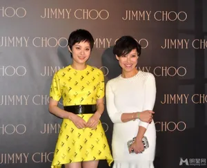 李冰冰杜鹃等同台斗艳孙俪不抱希望获艾美奖_15