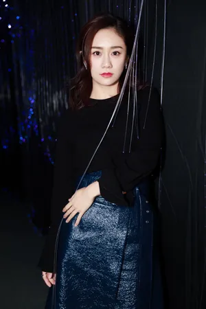 刘芸简约风时髦美艳活动写真图片_2