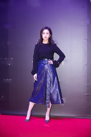 刘芸简约风时髦美艳活动写真图片_4