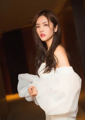 蔡文静抹胸高叉长裙礼服性感写真图片