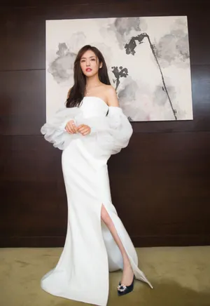 蔡文静抹胸高叉长裙礼服性感写真图片_2