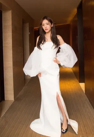 蔡文静抹胸高叉长裙礼服性感写真图片_4
