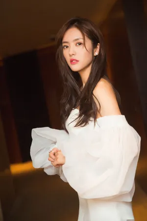 蔡文静唯美白纱裙活动照图片
