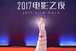 蓝盈莹长裙飘逸活动图片_5