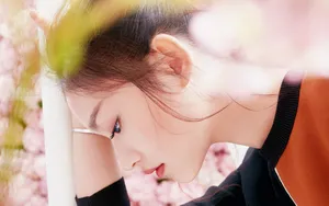清新唯美林允桃花图_7