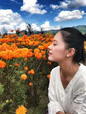 王力可秋日明媚写真清新动人_6