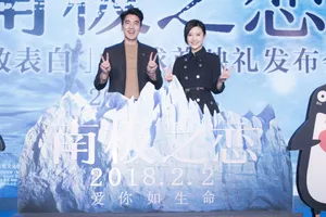 杨子姗风衣裙干练得体活动写真图片_5