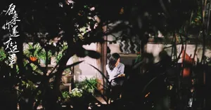 杨子姗电视剧《原来你还在这里》剧照图片_2