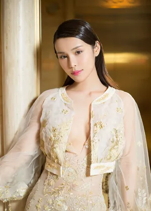 韩丹彤活动照图片：韩丹彤薄纱礼服性感写真_5