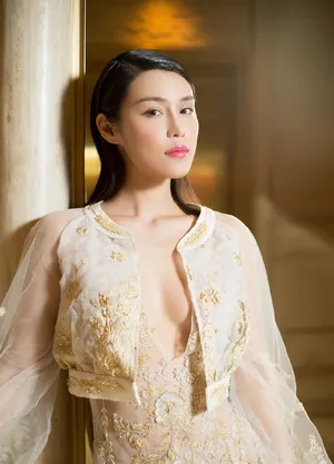 韩丹彤活动照图片：韩丹彤薄纱礼服性感写真_6