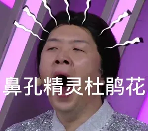 湖南卫视主持人杜海涛恶搞图片_1
