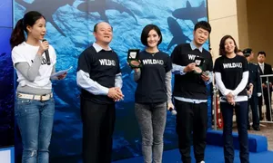 谢娜杜海涛亮相护鲨活动姐弟俩默契十足_2