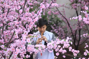 陈思成《大丫鬟》倾城才子萧清羽剧照图片_9