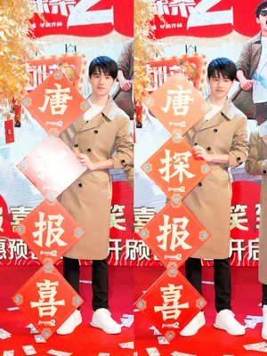 刘昊然《唐人街探案2》路演图片_9