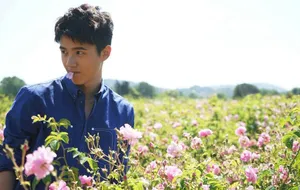 刘昊然南法花田休闲写真_3