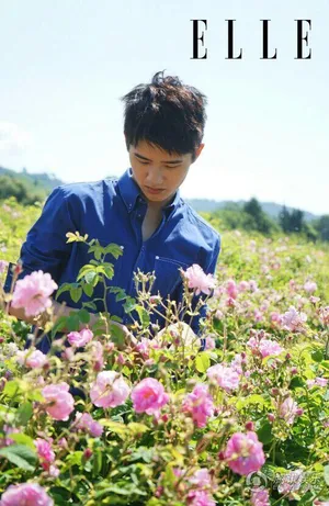 刘昊然花田阳光帅气写真图片_6