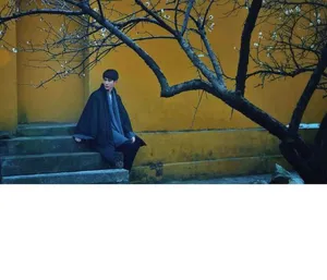 于朦胧桃花树下写真图片_2
