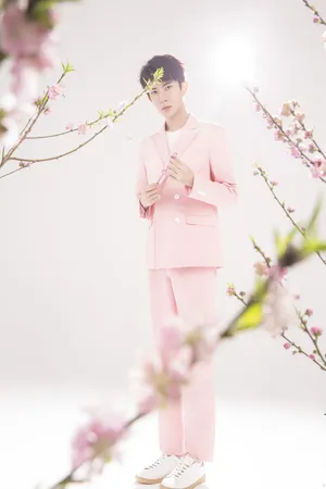 于朦胧桃花写真图片_6