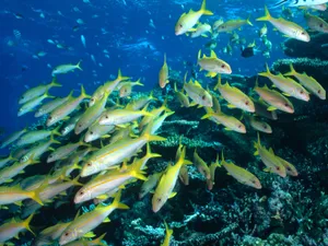 海地世界 第四辑_10