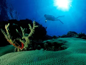 海地世界 第四辑_13