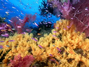 海地世界 第四辑_19