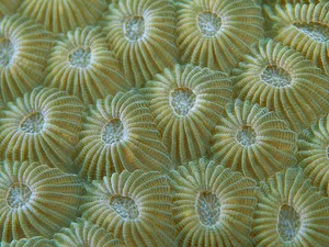 海地世界 第三辑_2