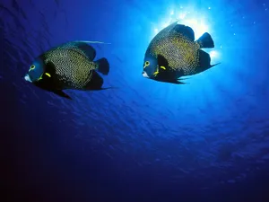 海地世界 第三辑_13