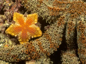 海地世界 第三辑_14