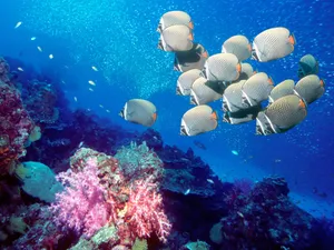 海地世界 第三辑_18